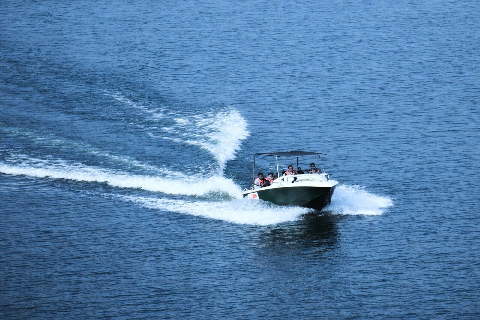 pexels-stillzonwheelz-36062056