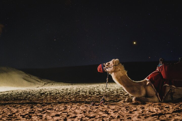 066ade46-2540-45eb-90c6-b9248784b62b_full-day-qatar-north-and-desert-safari-with-pickup-