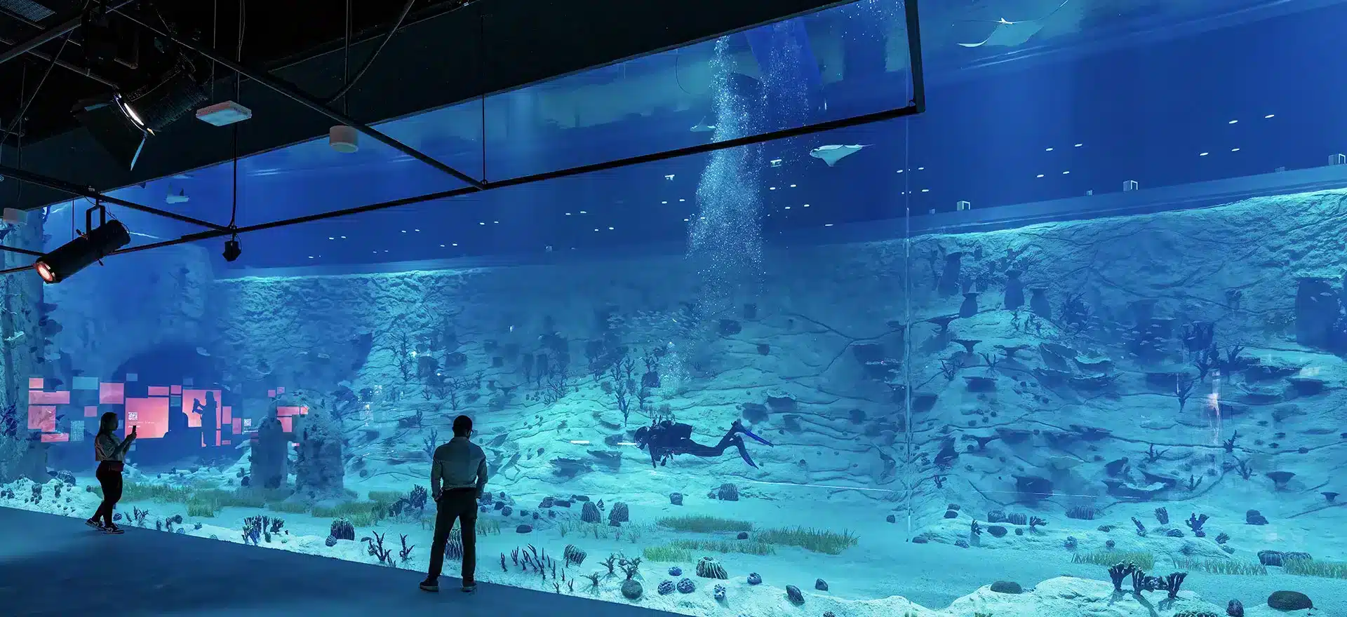 aquarium-qatar-cover-jpg